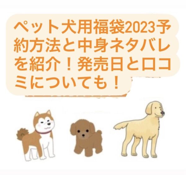 ペット犬用福袋2023予約のtop画像